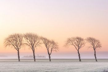 Winterse taferelen op het Groningse Platteland