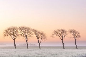 Winterszenen auf dem Lande in Groningen von P Kuipers
