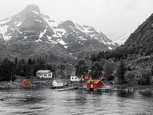 Noorwegen - Trollfjord z/w