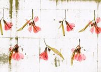 Rhythmische Blumen