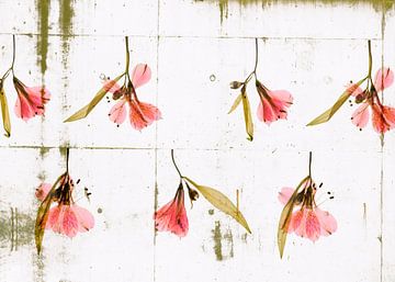 Rhythmic Flowers by Akira Peperkamp