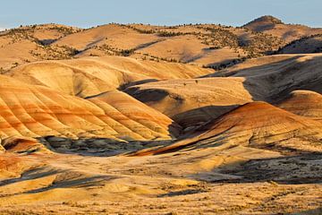 Collines peintes en Oregon sur Antwan Janssen