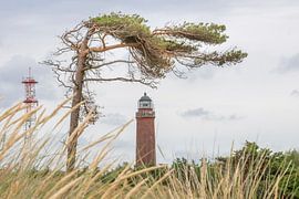 Duitse vuurtoren met glooiende pijnbomen en droog gras tegen een bewolkte lucht. van Hans-Jürgen Janda
