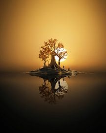 Aesthetic minimalism