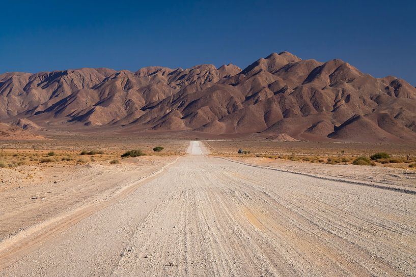 Landschap van Namibië van Willemijn Wolthaus