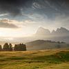 Seiser Alm, Südtirol, Italien von Alexander Ludwig