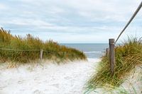 Der Weg zum Meer
