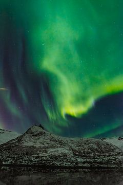 Noorderlicht, Aurora Borealis boven de Lofoten in Noorwegen