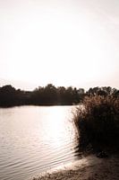 Lac serein au coucher du soleil : une oasis de tranquillité