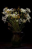 Nature morte fleurs de gypsophile en vase classique