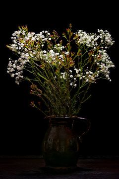 Nature morte fleurs de gypsophile en vase classique
