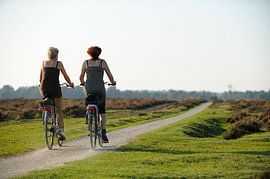 Fietsende vriendinnen van Merijn van der Vliet
