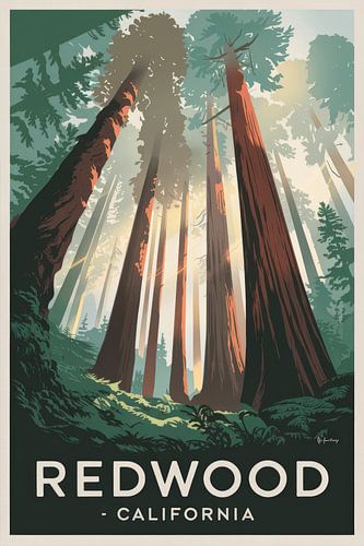 Redwood - Californië