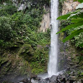 Waterval in Costa Rica by Maurits Kuiper