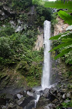 Waterval in Costa Rica van Maurits Kuiper