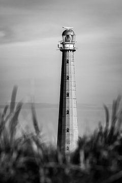 Lighthouse De Lange Jaap by Randy Riepe