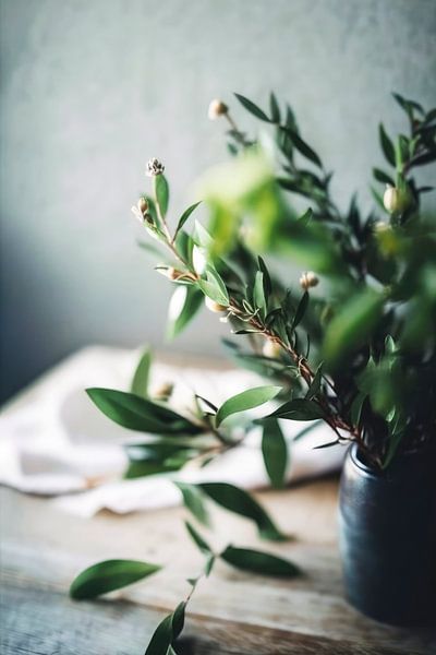 Ruscus Still Life On Table by Treechild