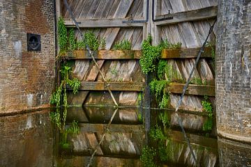 Met planten begroeide houten sluisdeuren van Jenco van Zalk