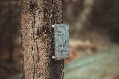 Paal kamp Westerbork