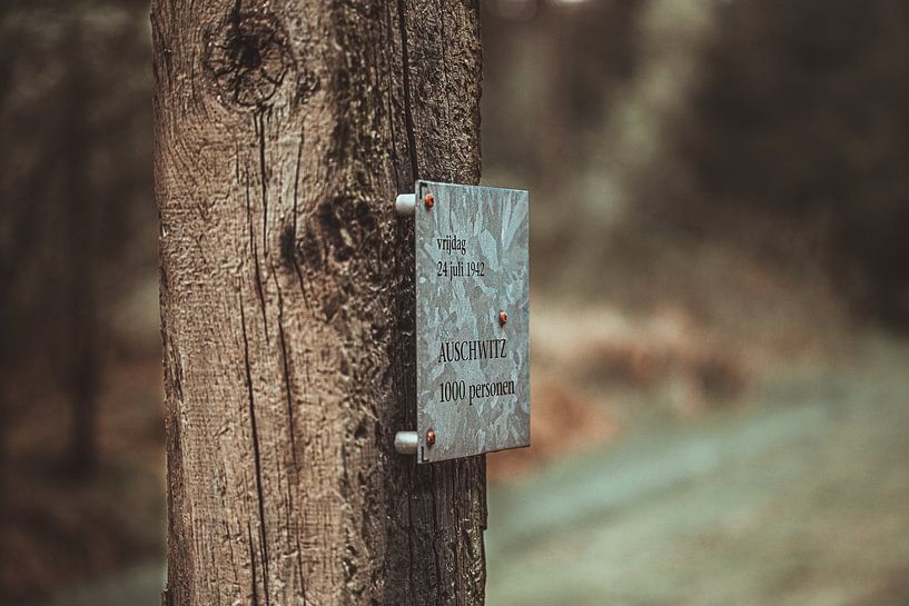 Paal kamp Westerbork van MdeJong Fotografie