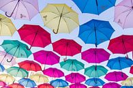 Een hemel van parapluutjes van Marianne Jonkman thumbnail