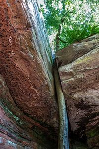 In Stein gefangen – Altschlossfelsen