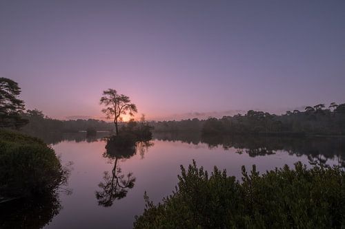 Zonsopkomst bij de Oisterwijkse vennen