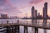 Sunrise in Rotterdam