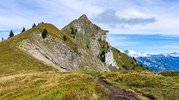 Suggiture top, near Interlaken in Switzerland by Jessica Lokker