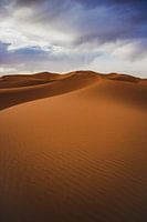 Sandwaves