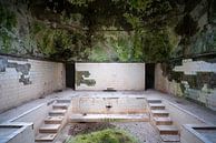 Verlassener Badekurort im Zerfall. von Roman Robroek – Fotos verlassener Gebäude Miniaturansicht