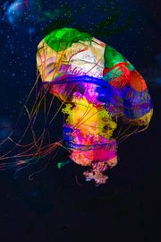 Das Bild, das einst existierte