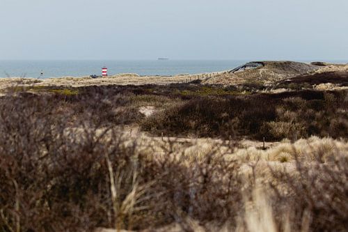 Northern harbour head from the Westduinpark in Scheveningen