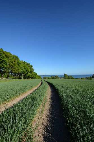 Groß Stresow near Putbus, Rügen