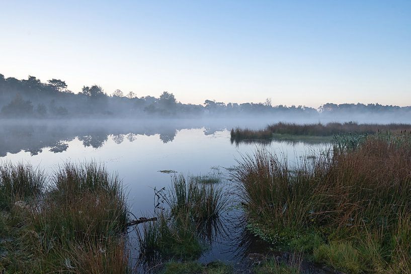 Neblige Schatten an einem Teich von Evelien Huisman