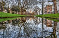 Rotterdam: spiegeling in de Westersingel van Frans Blok thumbnail