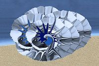 Fantasy shell