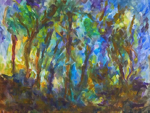 forest with light from the sun in the morning