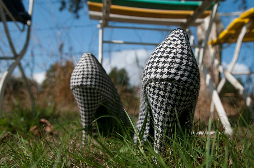 in the garden by Norbert Sülzner