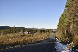 Small gravel road