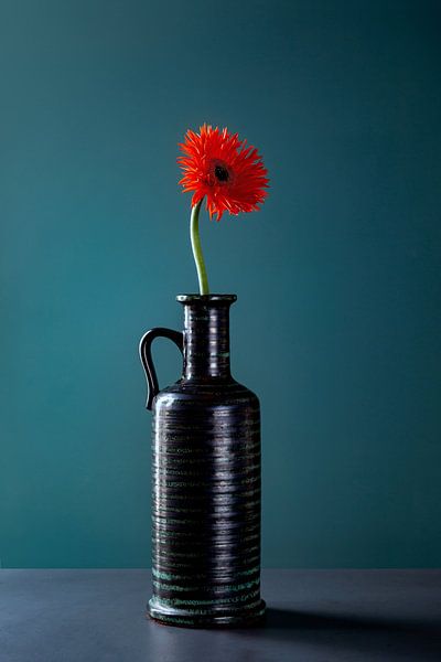 Gerbera von Matty Maas