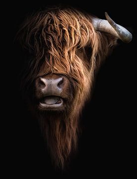 Scottish Highlander by Karel Ton