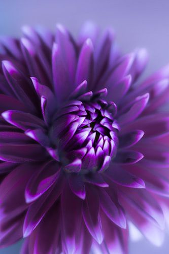 natuur op haar mooist