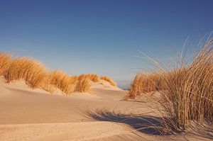 Strand auf der Insel Schiermonnikoog im Wattenmeer