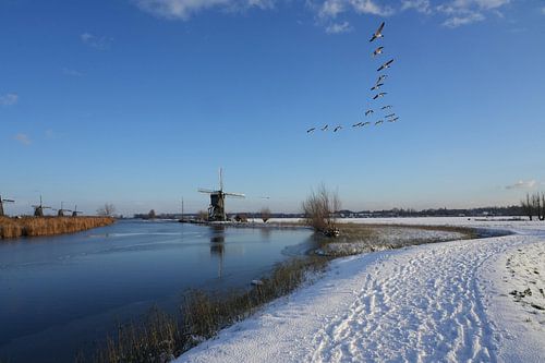 Kinderdijk episode 5