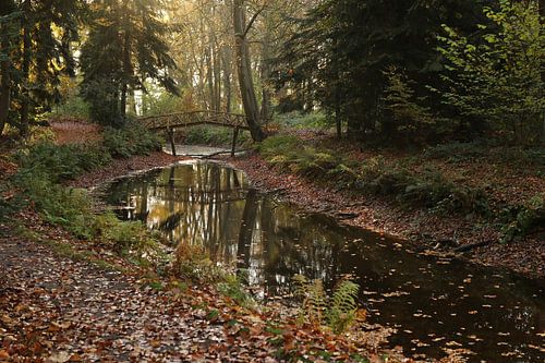 Water on the Fraeylemaborg