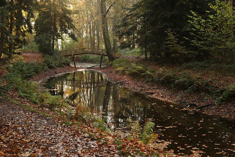 Water on the Fraeylemaborg by Pim van der Horst
