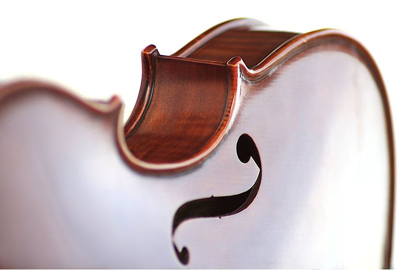 Violine 2 / Detail liegend von Studio Miandala