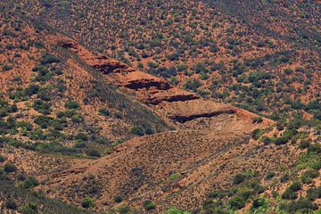 Kleine Karoo Südafrika