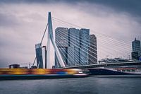 Erasmusbrücke in Rotterdam - Skyline